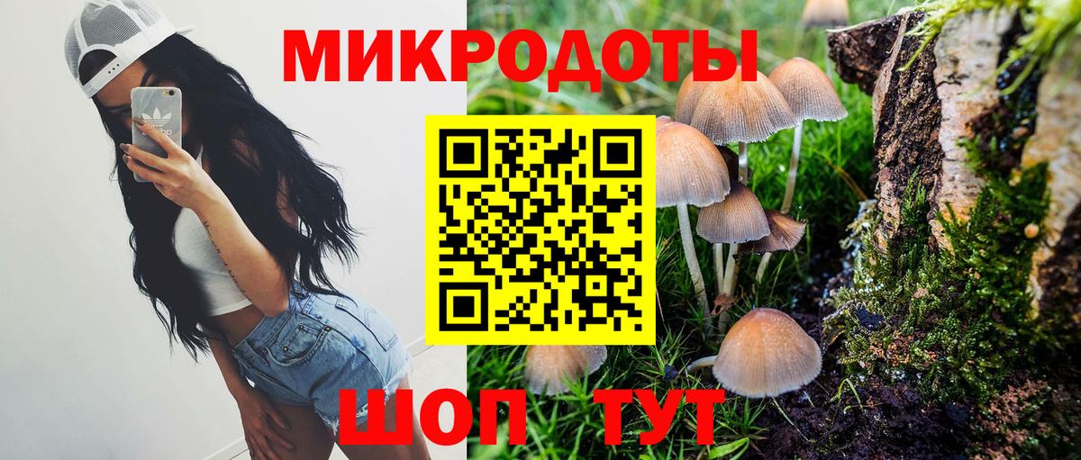 Галлюциногенные грибы Psilocybe Рузаевка