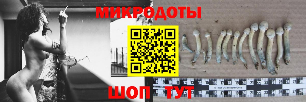 Галлюциногенные грибы мухоморы  Вход с VPN  Рузаевка 